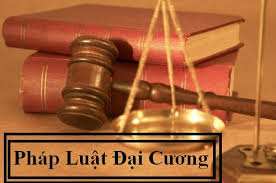 Law is a mandatory subject in the intermediate training program in Vietnam